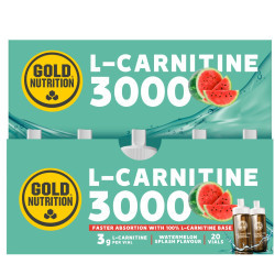 L-CARNITINE 3000 MG WATERMELON